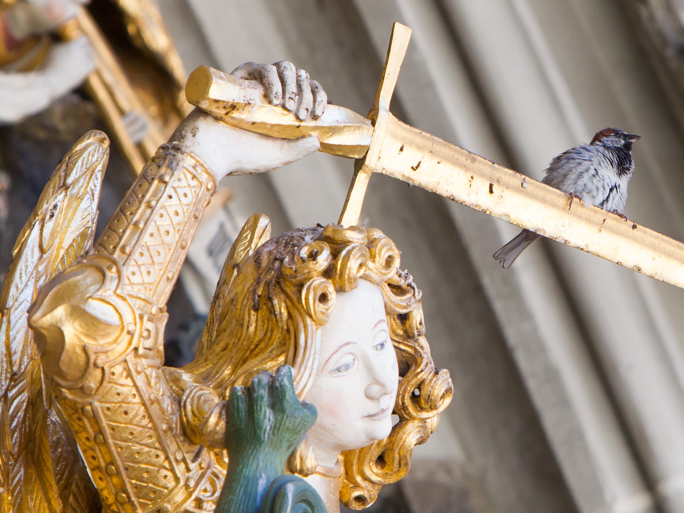 Wird Gott richten?