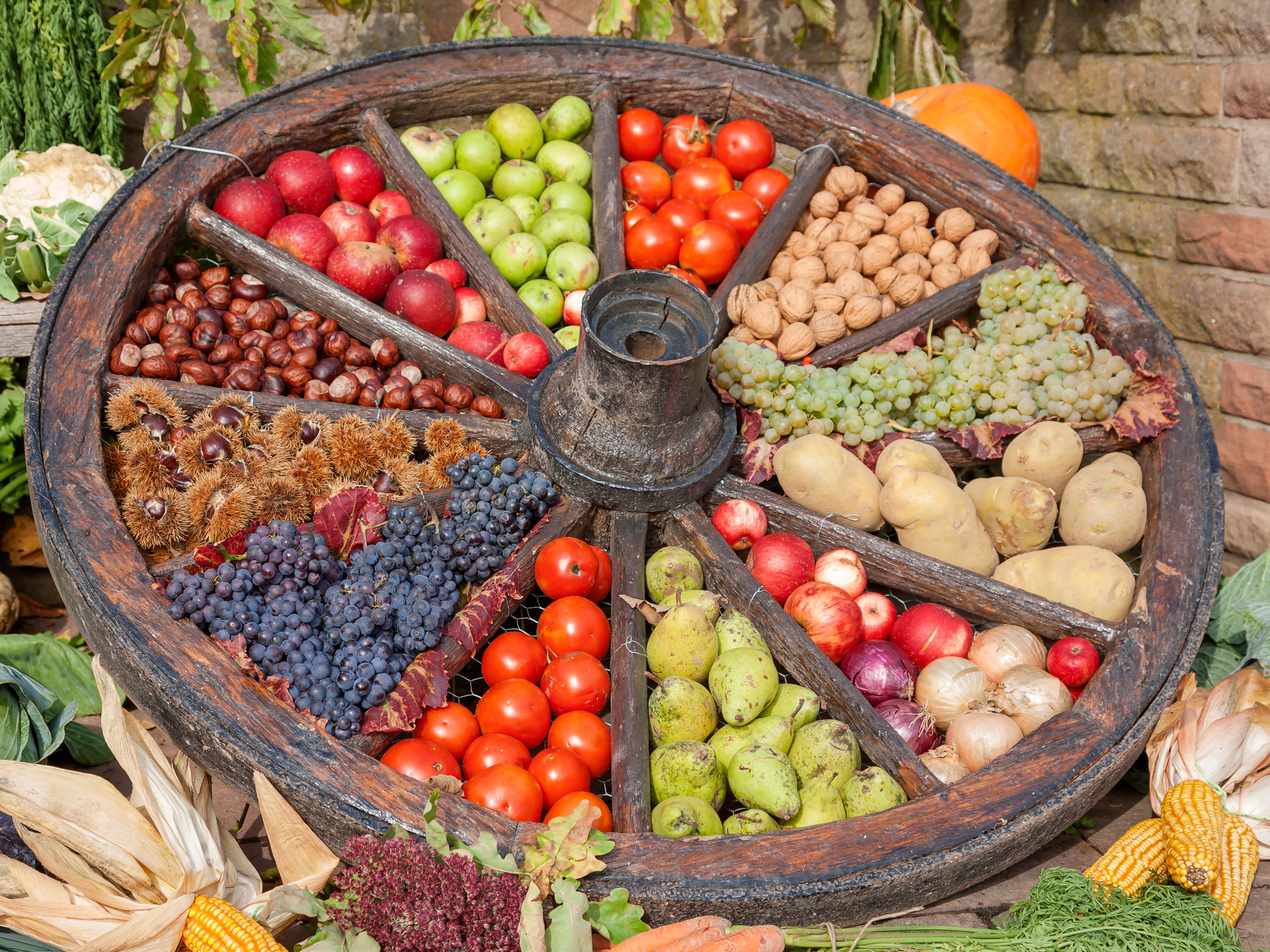 Erntedank-Gottesdienst